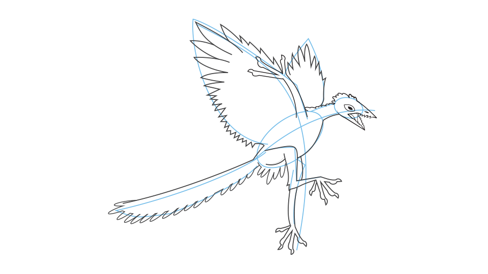 How to draw an archaeopteryx step 4