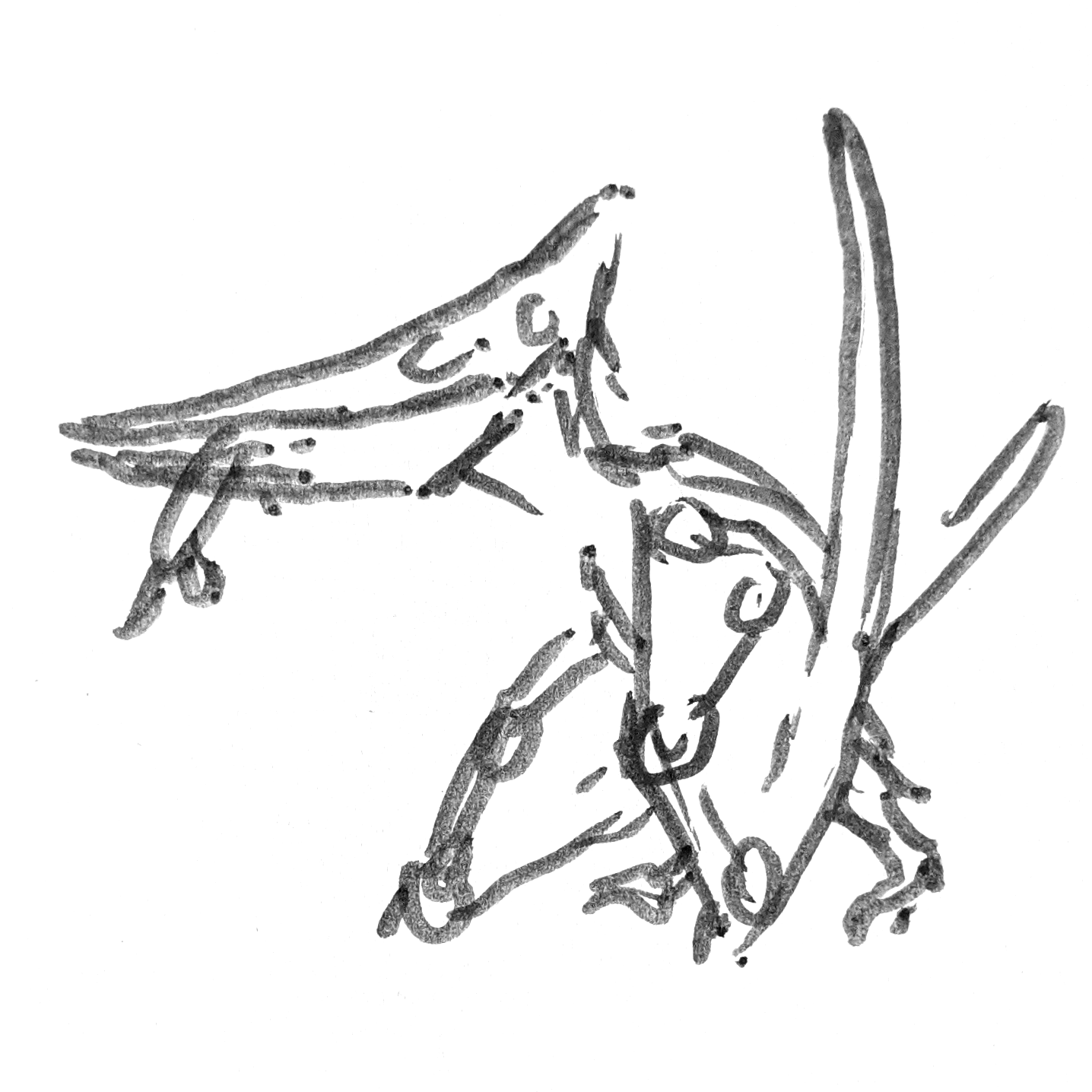 Pteranodon drawing holding a fish in their mouth