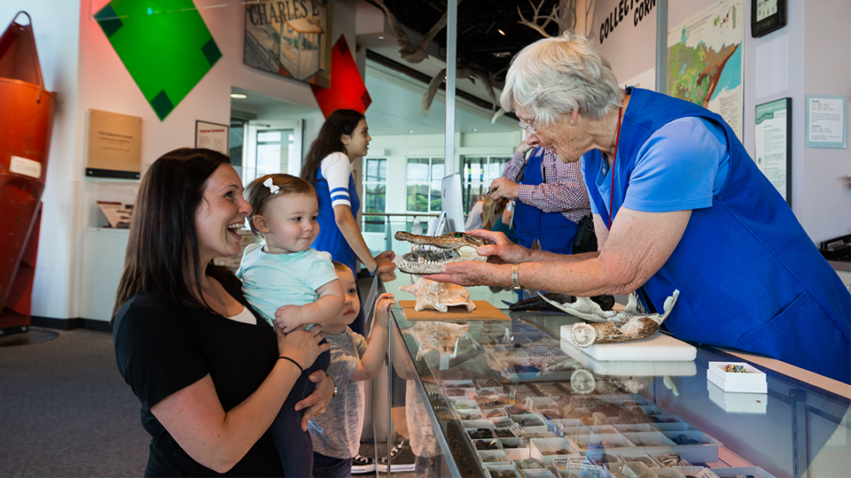 A museum visitor holding their baby in the Collectors' Corner and a museum staff member shows them a preserved crocodile head. 