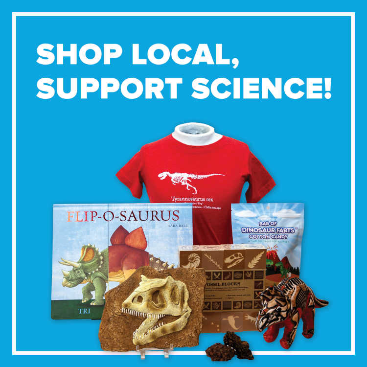 Explore Store Items including: t.Rex shirt, flip-o-saurus book, triceratops plush, fossil blocks, bag of dinosaur farts cotton candy