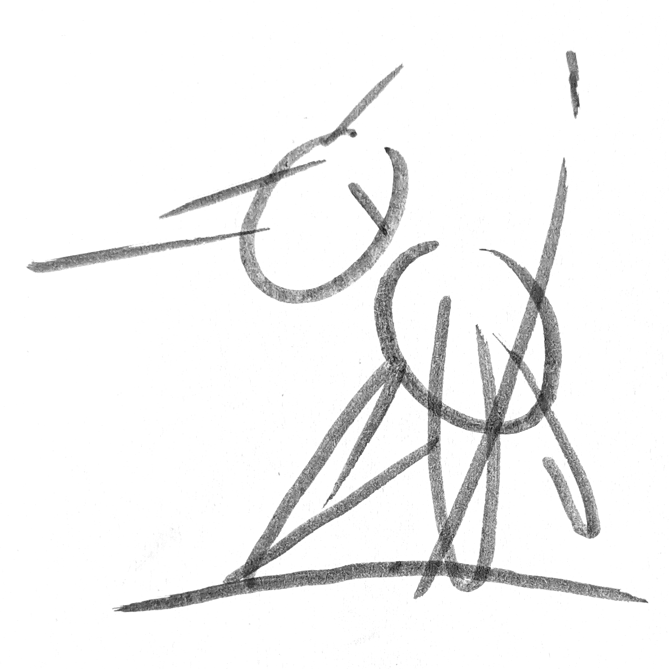 Rough outline of Pteranodon
