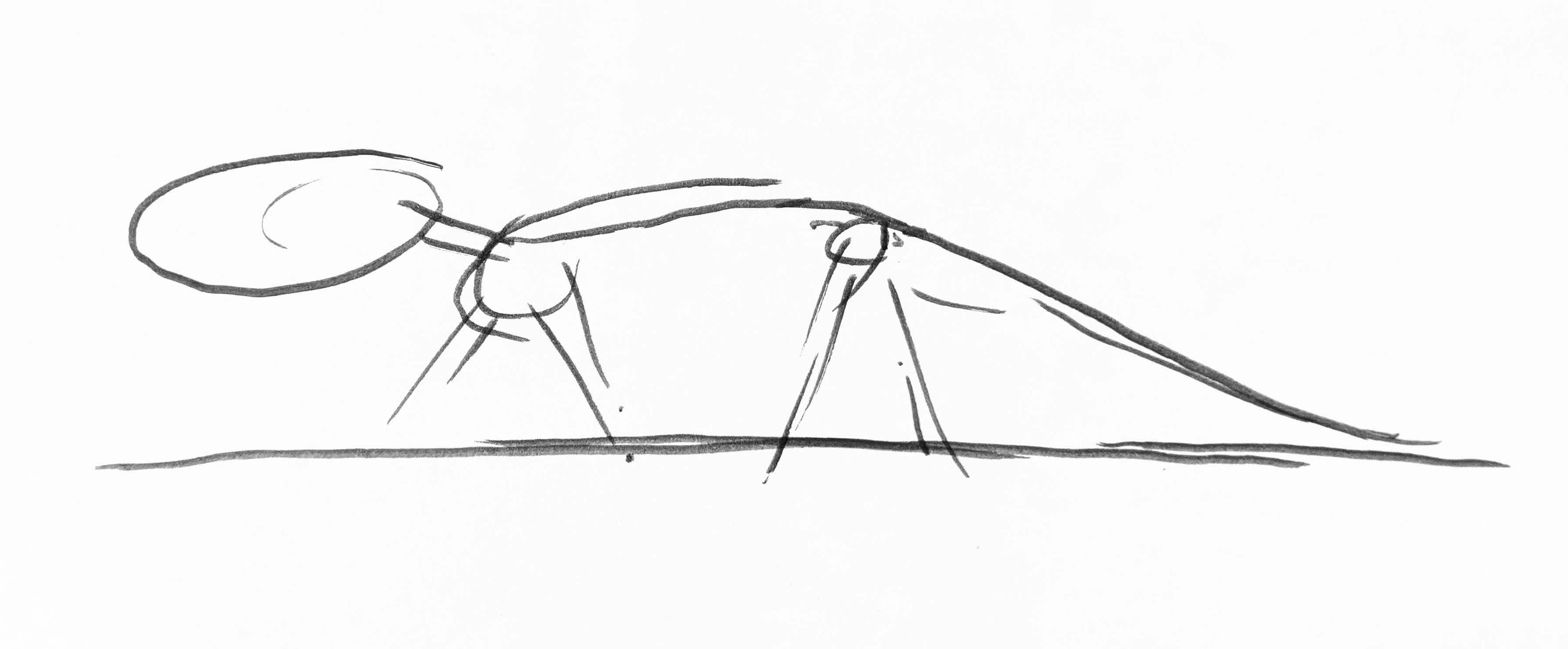Simple line drawing of Borealosuchus