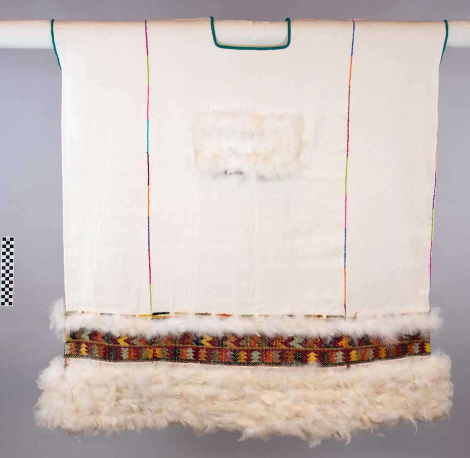 collections/objects/shirt-a89-1-17