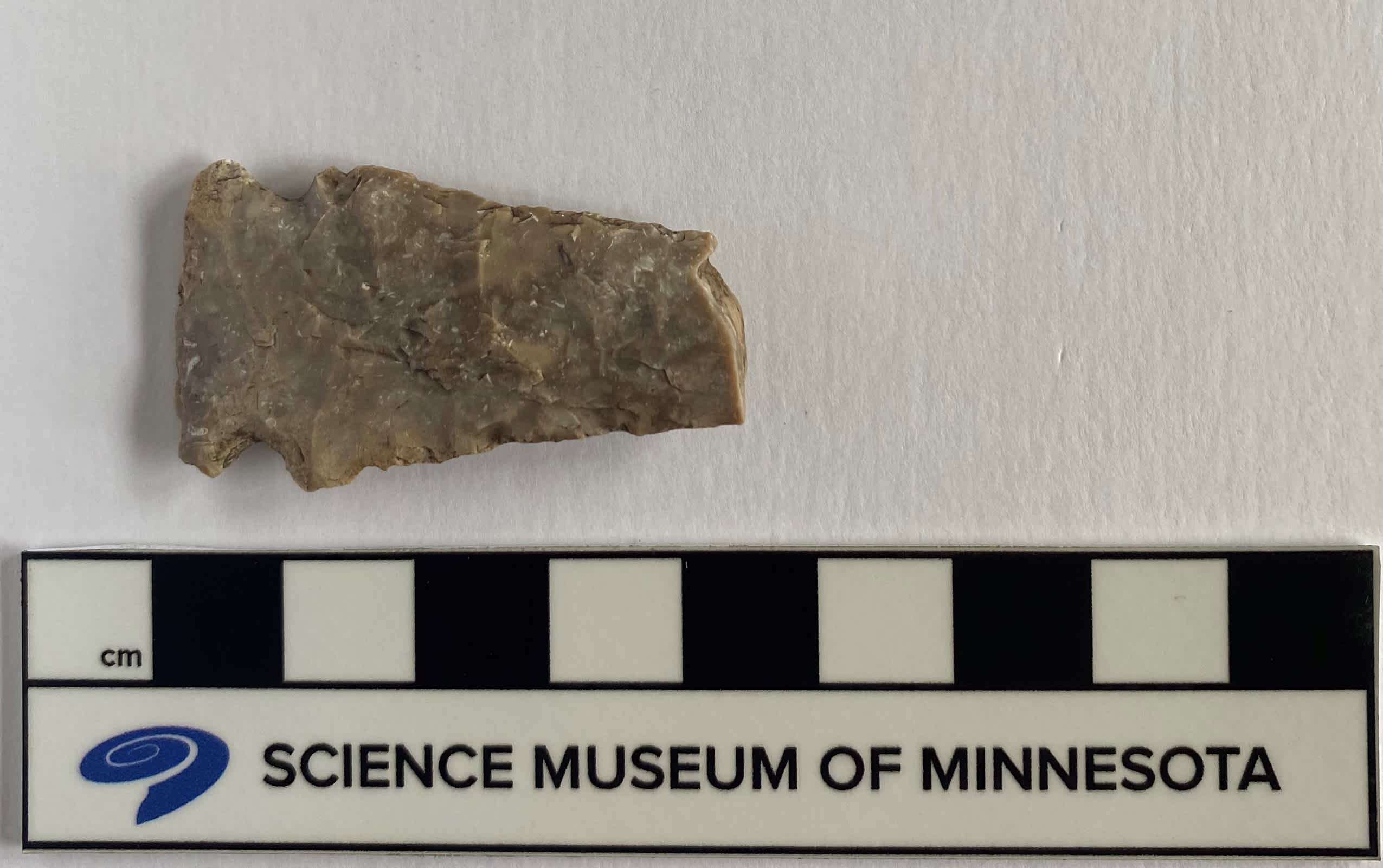 A stone projectile point recovered in the summer archaeology field school.