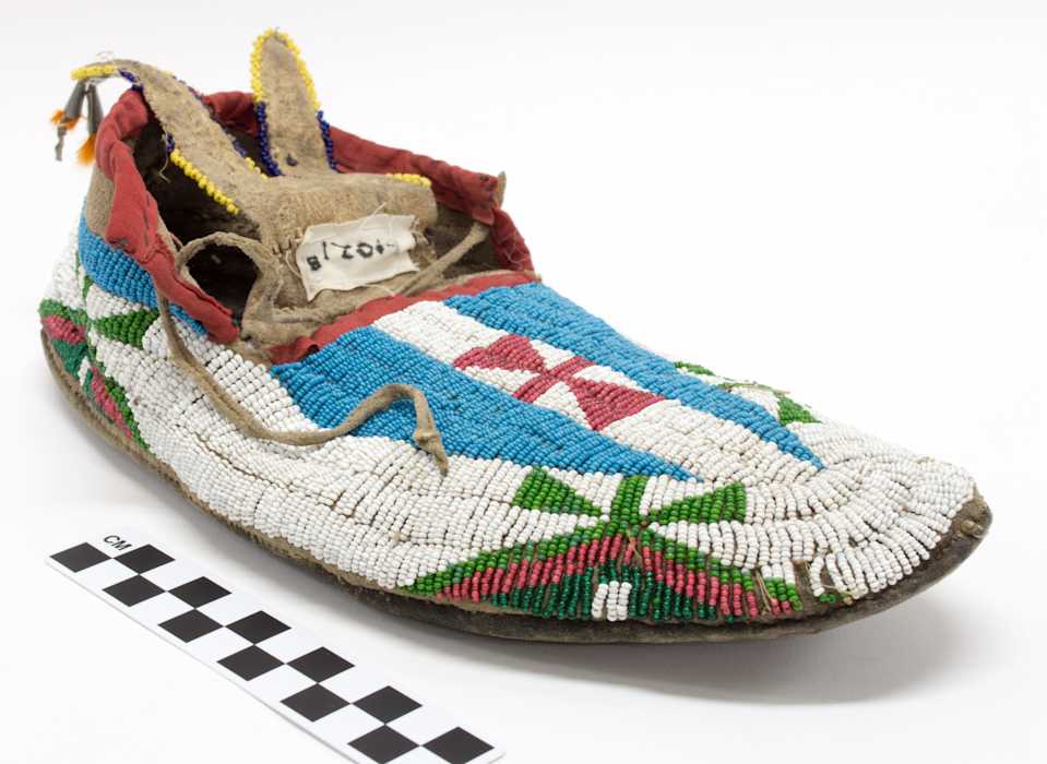 collections/objects/shoe-1-1021b