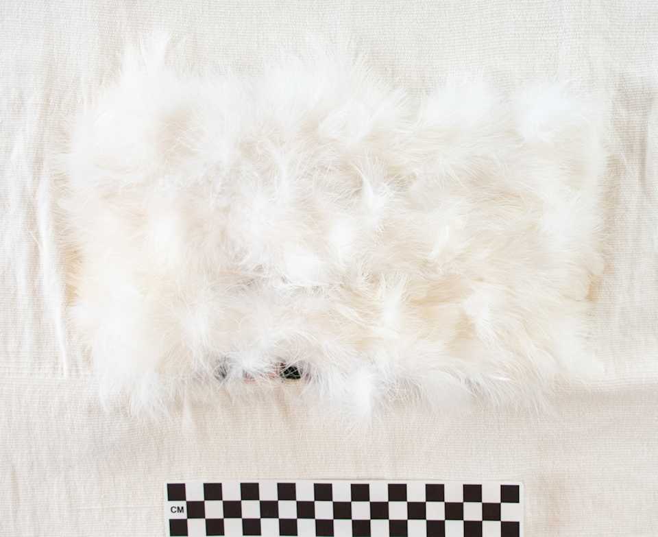 collections/objects/shirt-a89-1-17