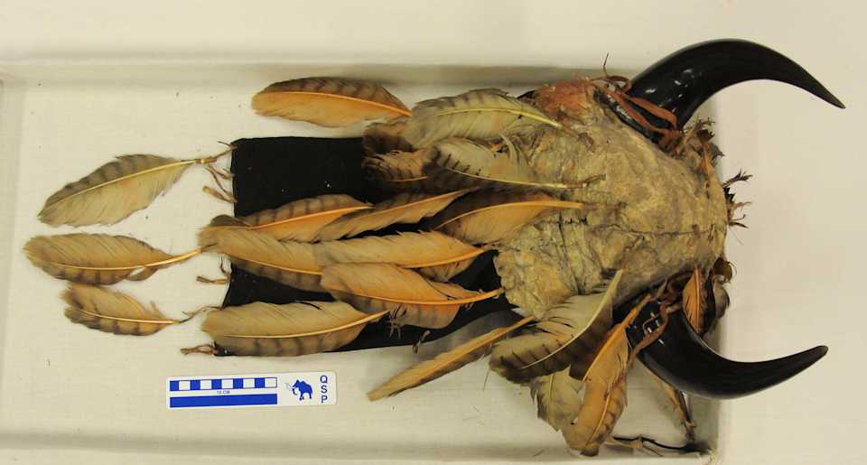 collections/objects/headdress-61-1483