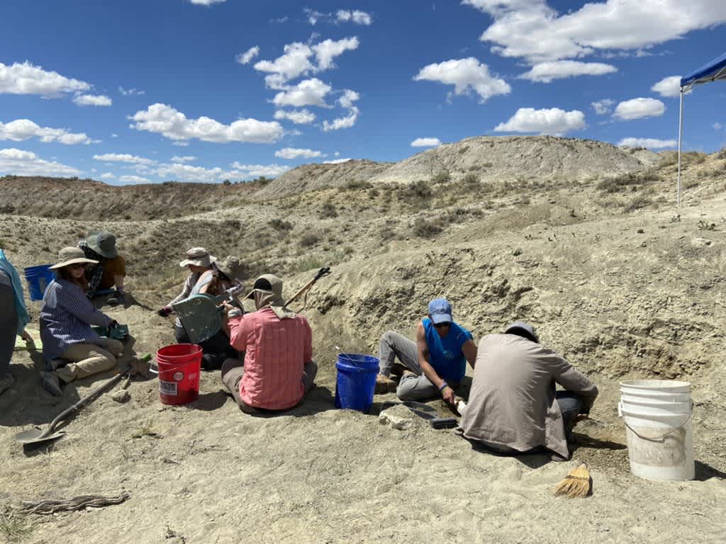 Dr. Alex Hastings in Wyoming kicking off field season 2021