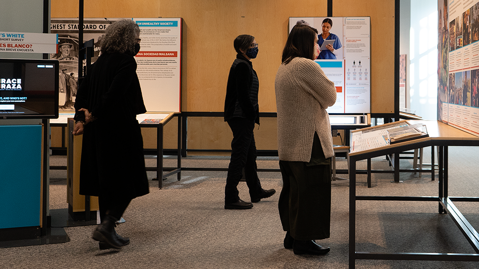 Professionals exploring the RACE: Are We So Different? exhibit.