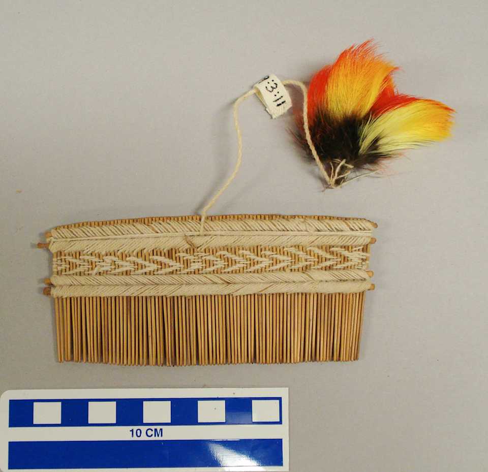 collections/objects/comb-a2009-3-11