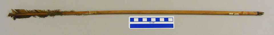 collections/objects/arrow-1-737n