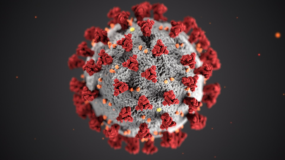 Coronavirus microbe 