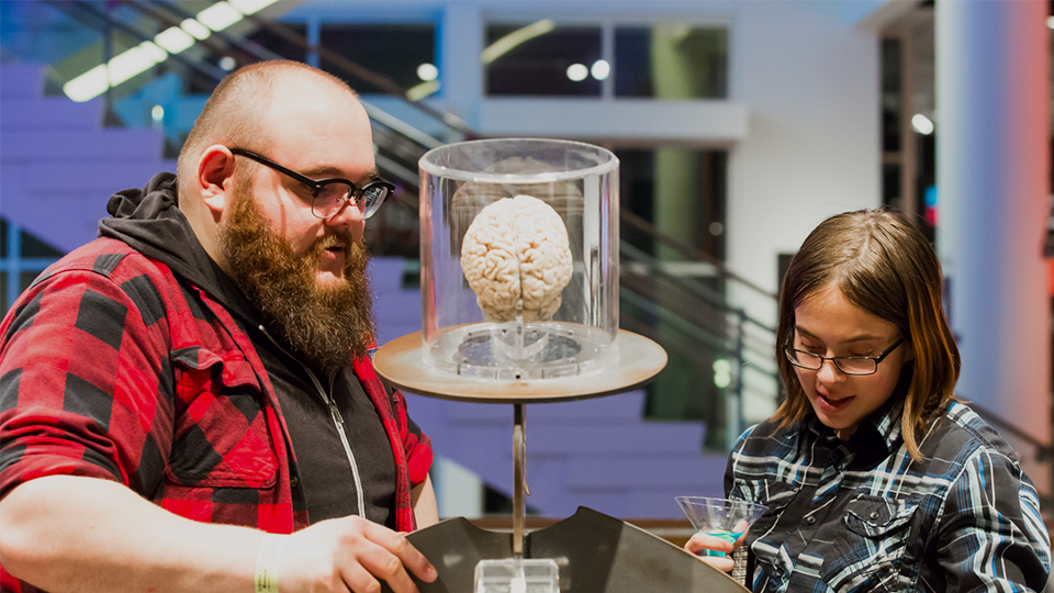Two people look at a brain and read information about it in the Human Body Gallery