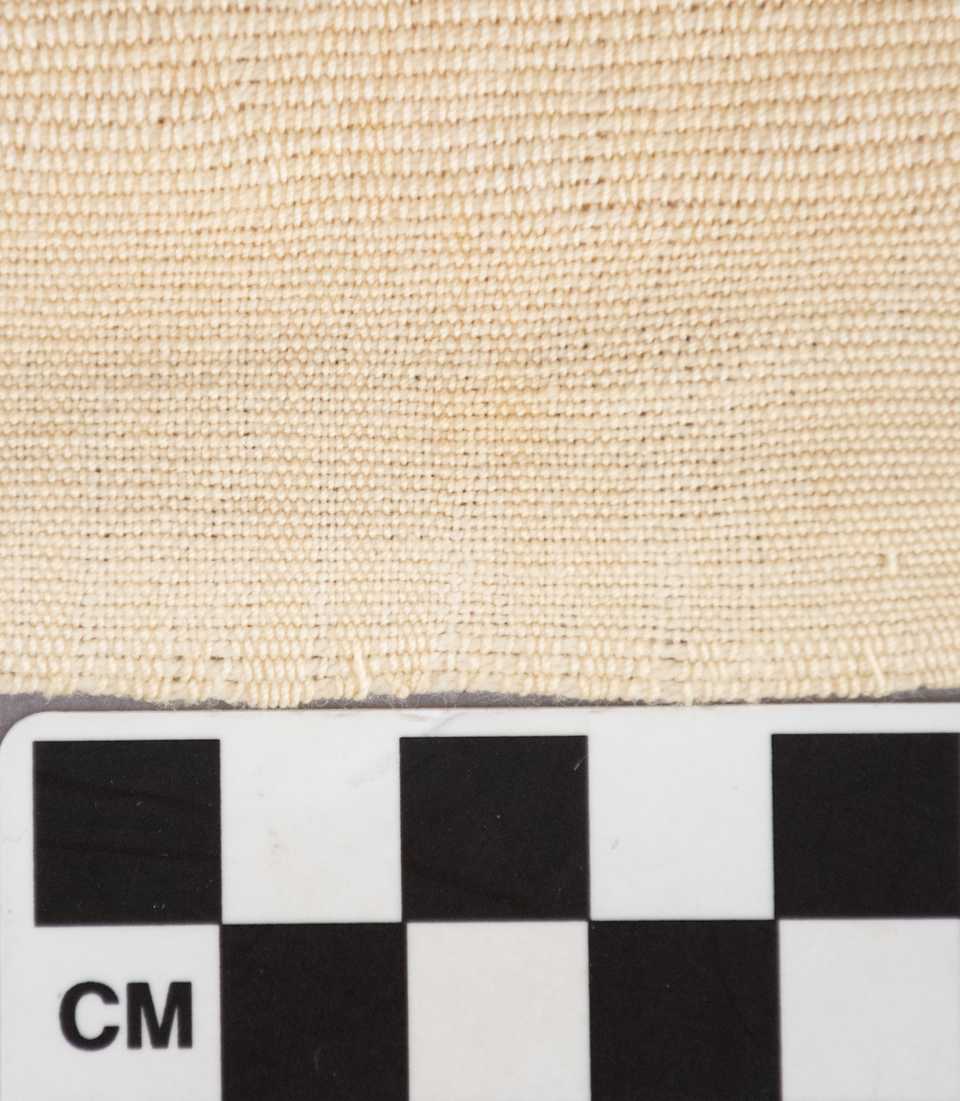 collections/objects/shirt-a77-1-5