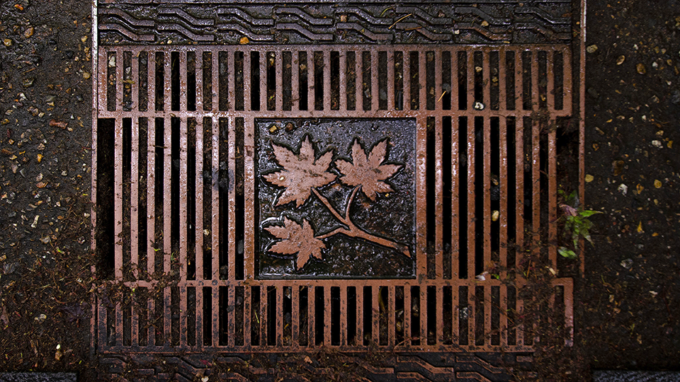 A sewer drain.