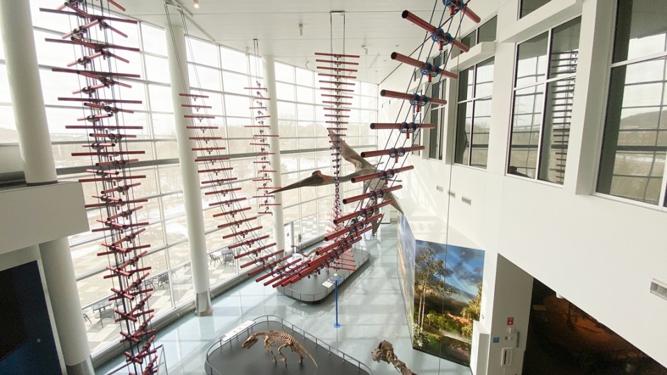 View of level three of the galleries 