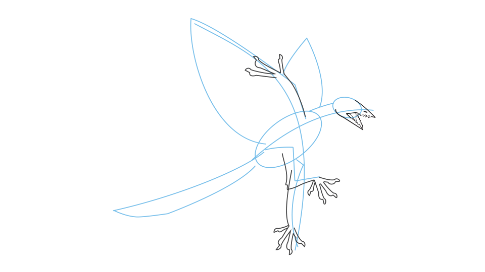 How to draw an archaeopteryx step 3