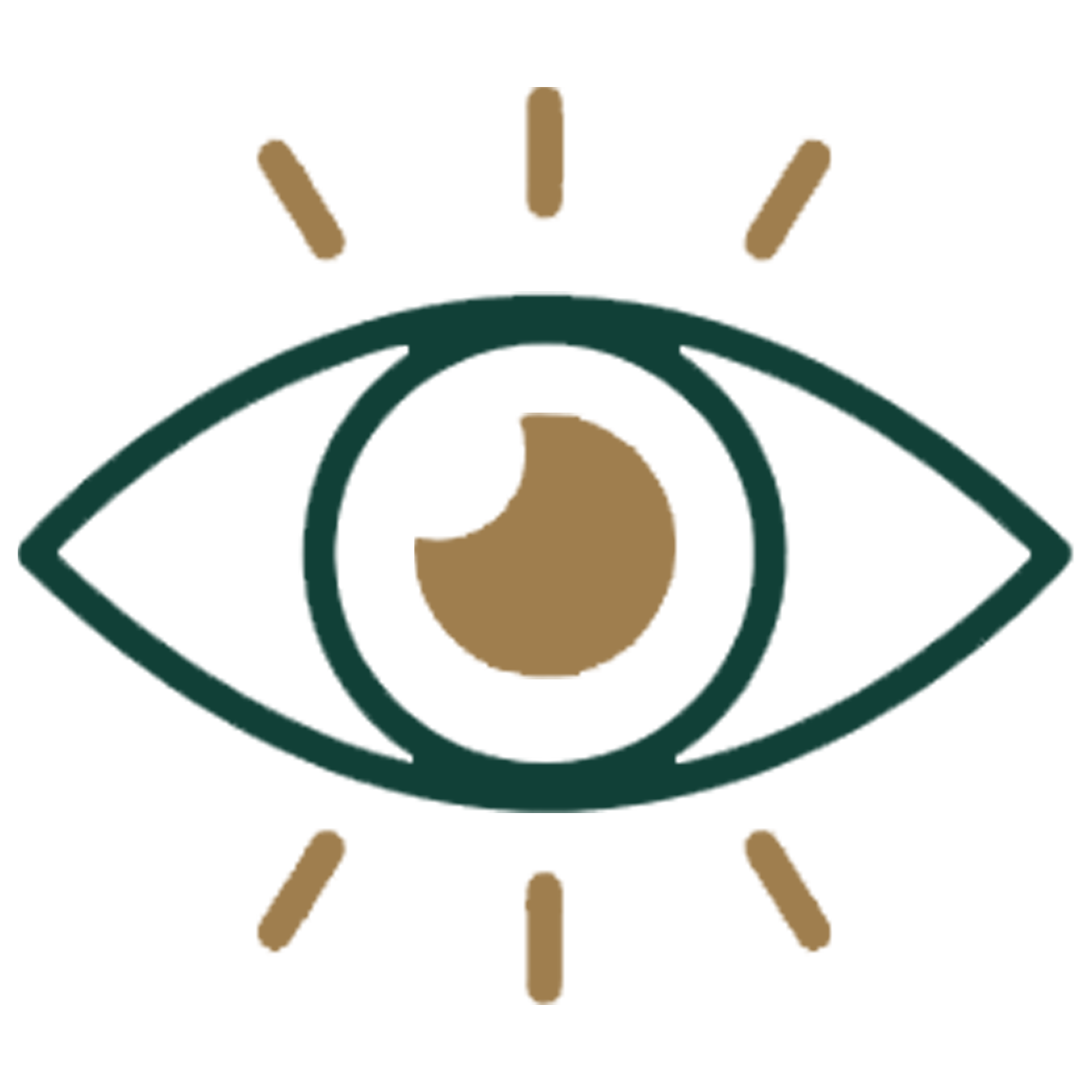 VisionIcon