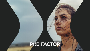 The PXB-Factor™