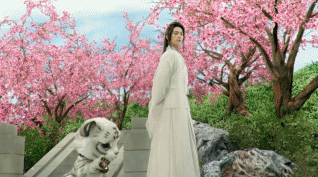 tiger.gif