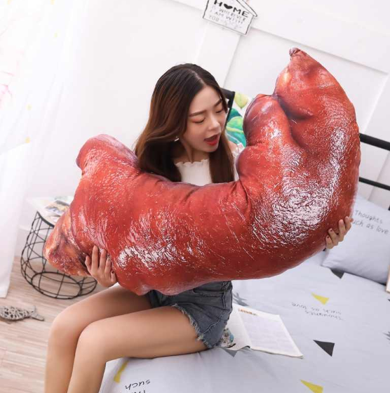 5 Hilariously Weird Pillows You Can Buy On Ali Express Hotpot Tv