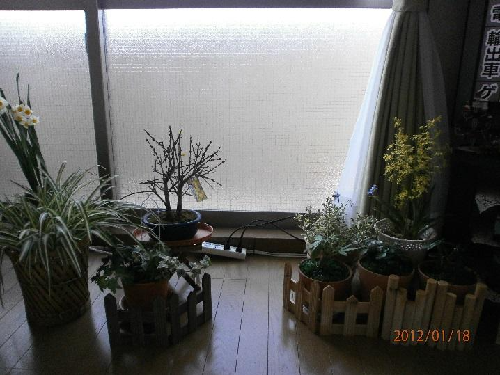 5-HottoHitoIki