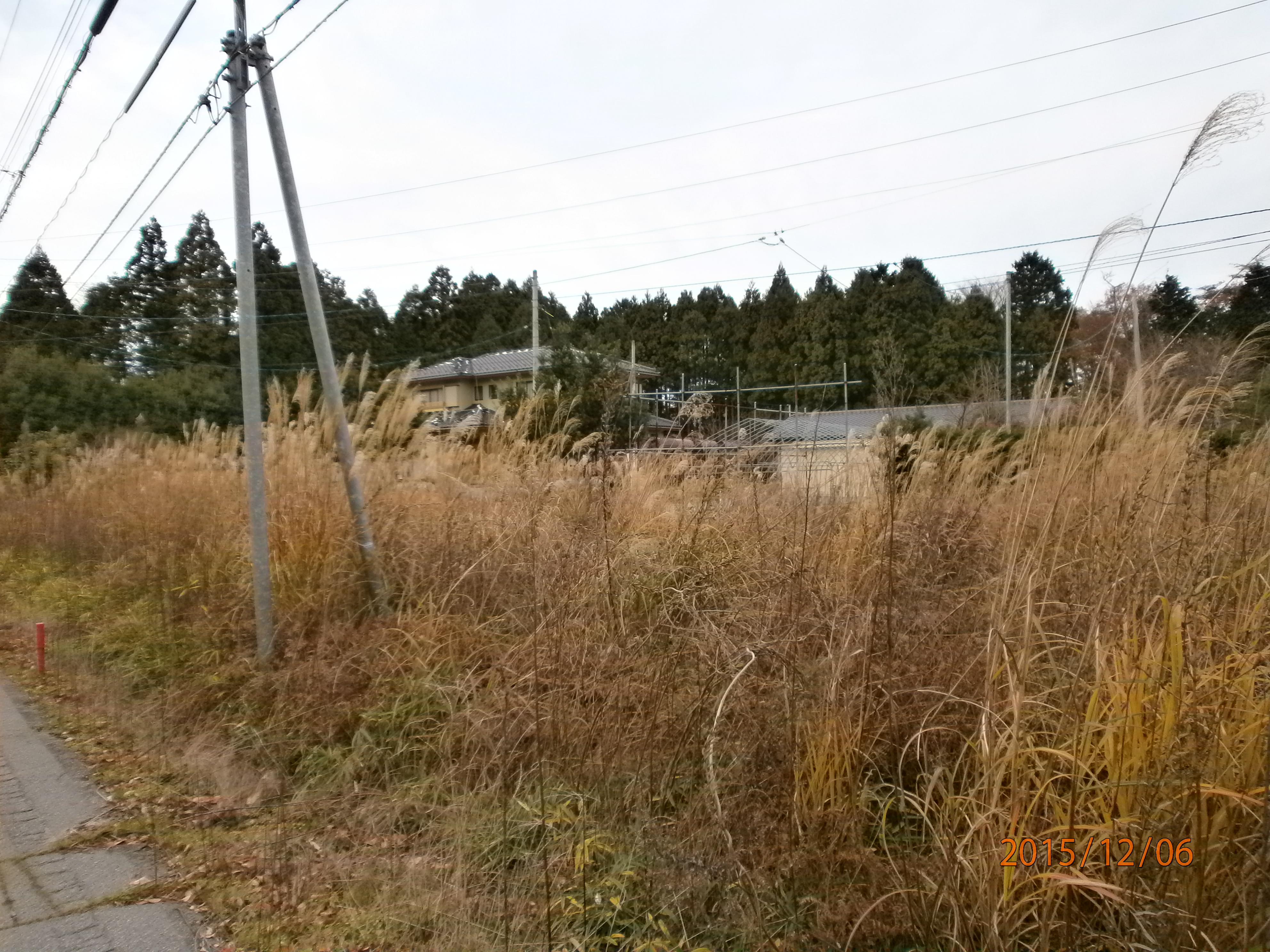 131-4 1 4 K Kichan 1512 ShinsaiTojinomamaNoFukei