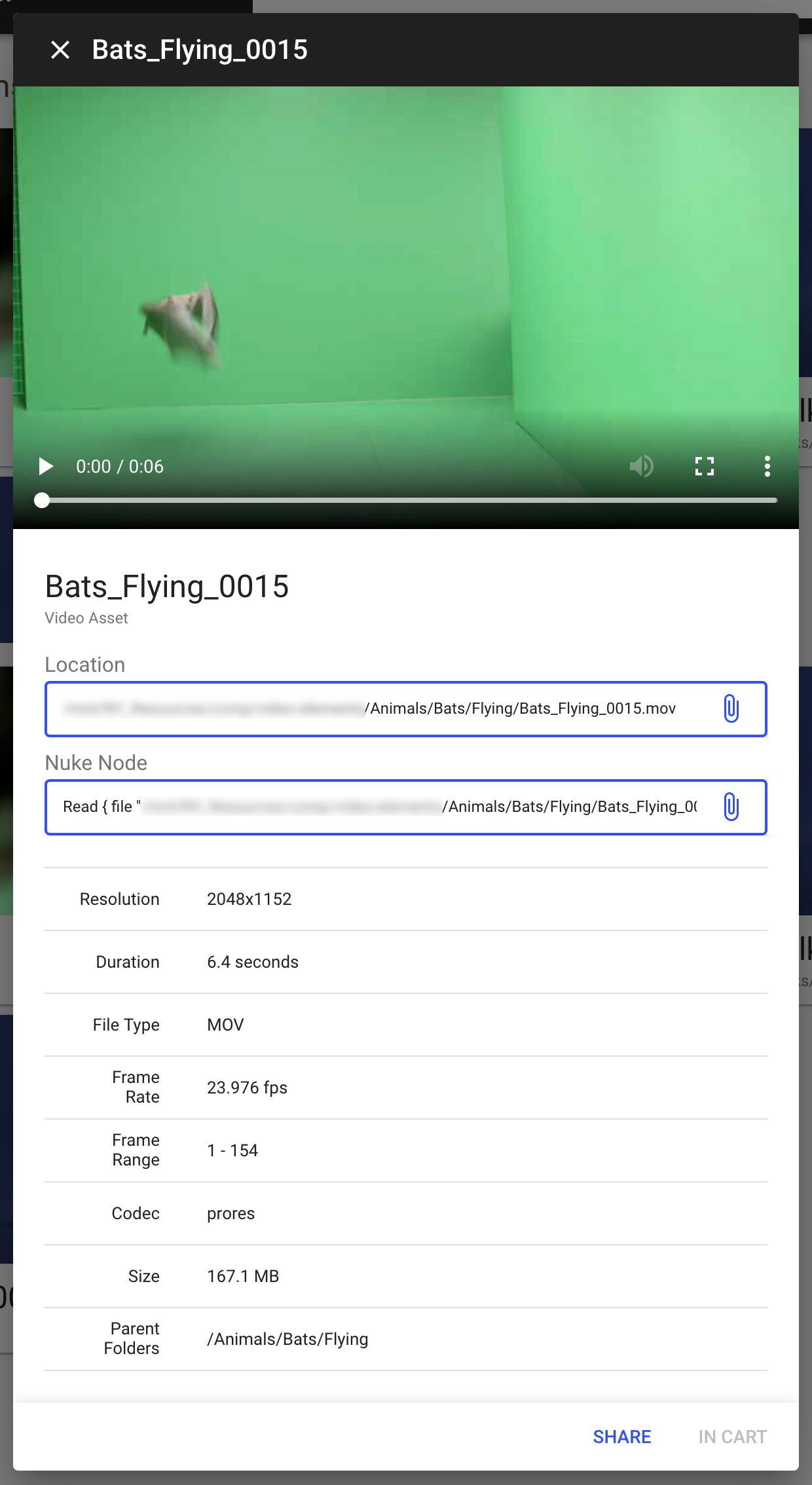 The detail view for a video asset contains a low resolution video, click-to-copy file path, and a table of metadata.