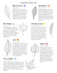 Trail Marker Guide with Descriptions of Selected Plants