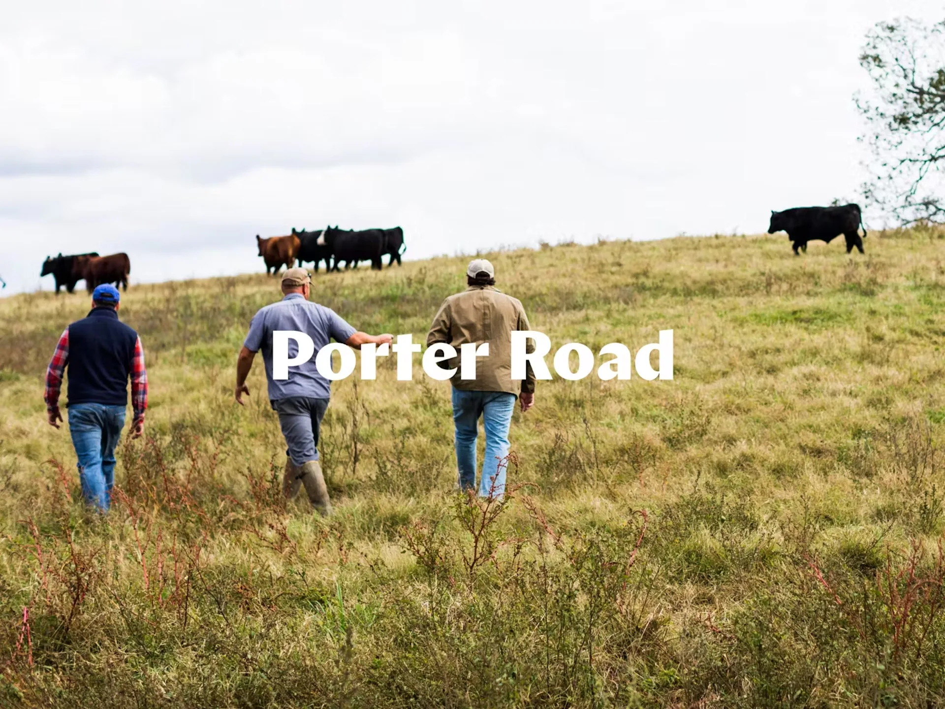 Porter Road