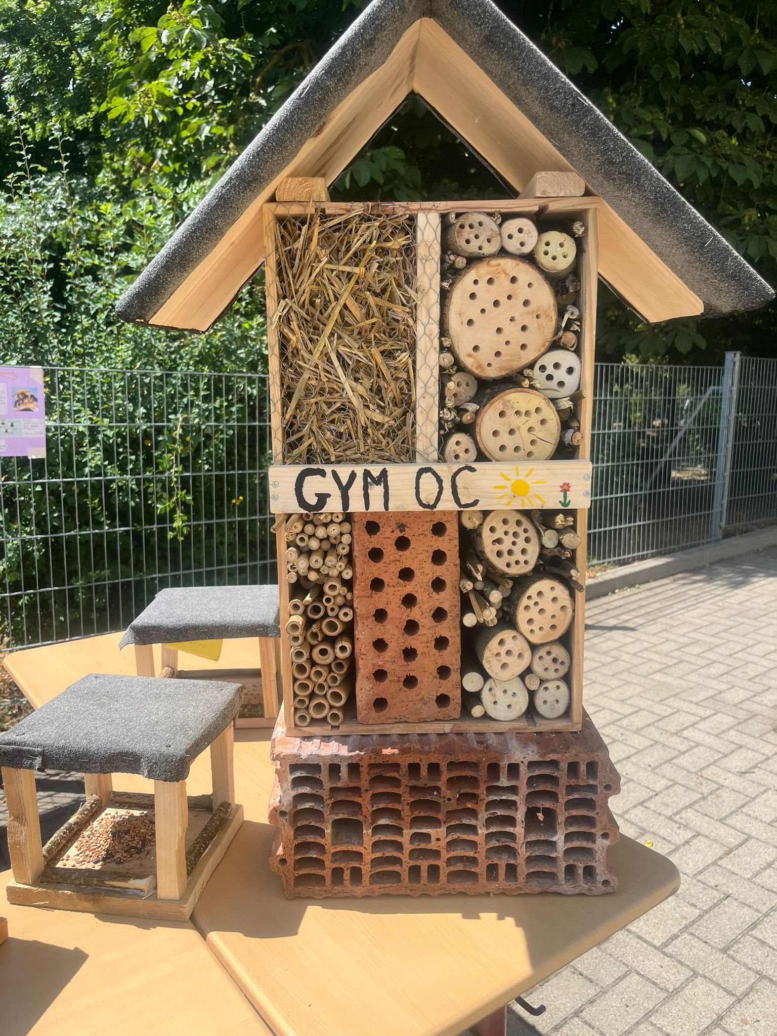 BNE Woche