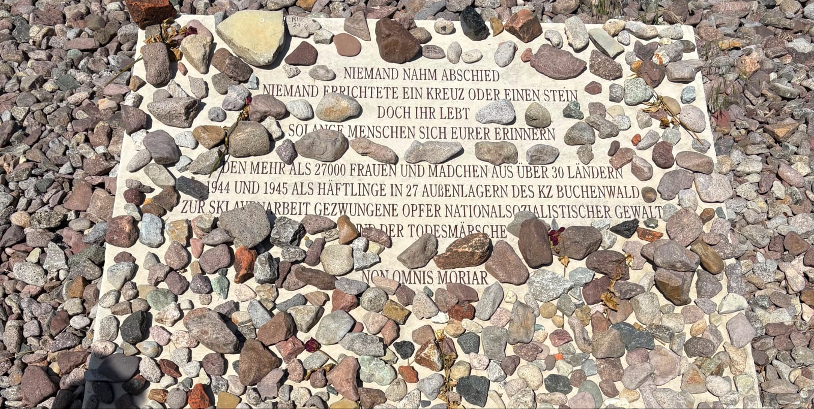 Weimar IV