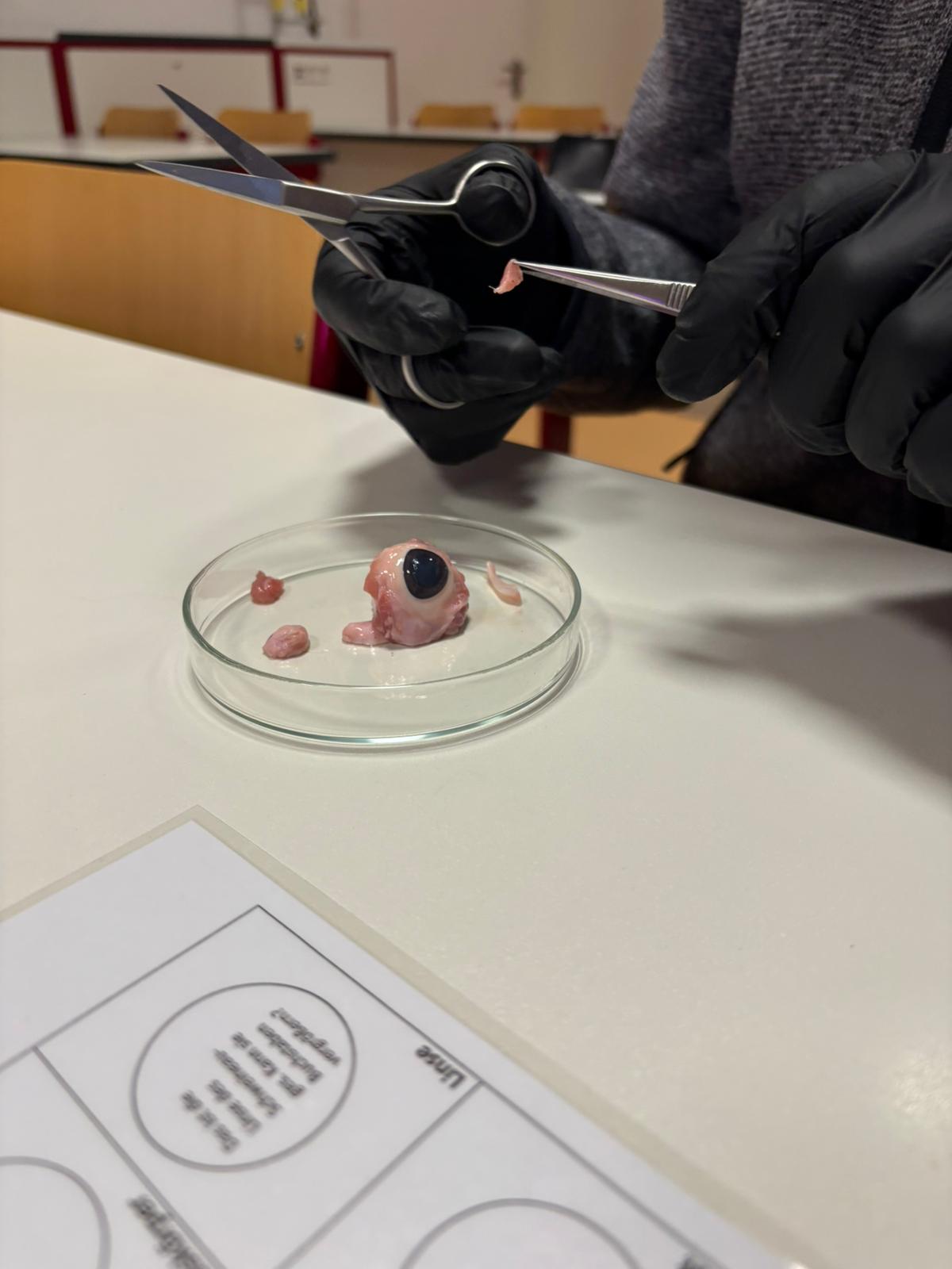 Langer Abend der Wissenschaft