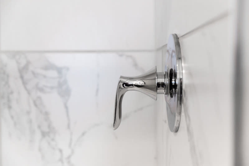 Silver Pfister shower handle in the primary bathroom of a manufactured home.Model 91COR24583BH19-Master Bathroom Details 2