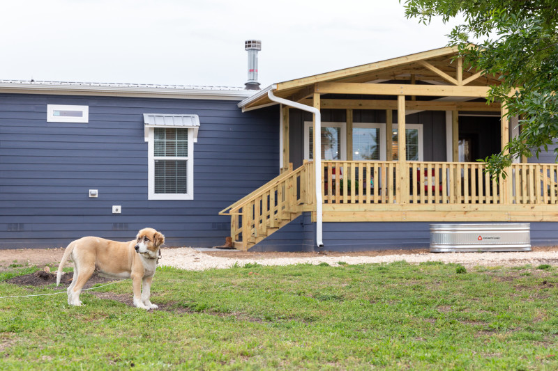 Dog standing in front of mobile home with large front porch.