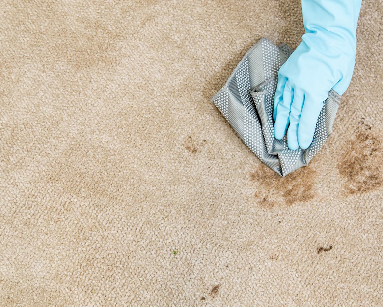 cleaning carpet spills