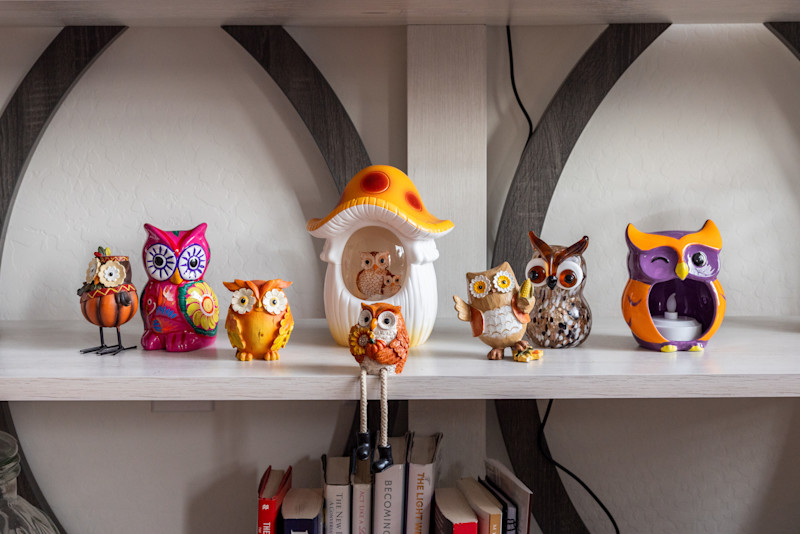 Homeowner Stories AZ Theresa Jan 2026-005?