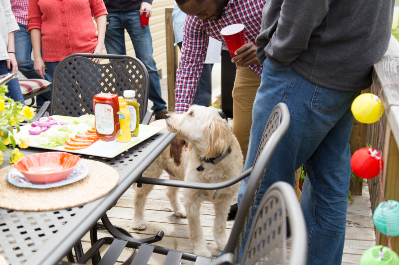 A small barbeque on the back deck of a Clayton Built® home with a man bending over to pet a dog.