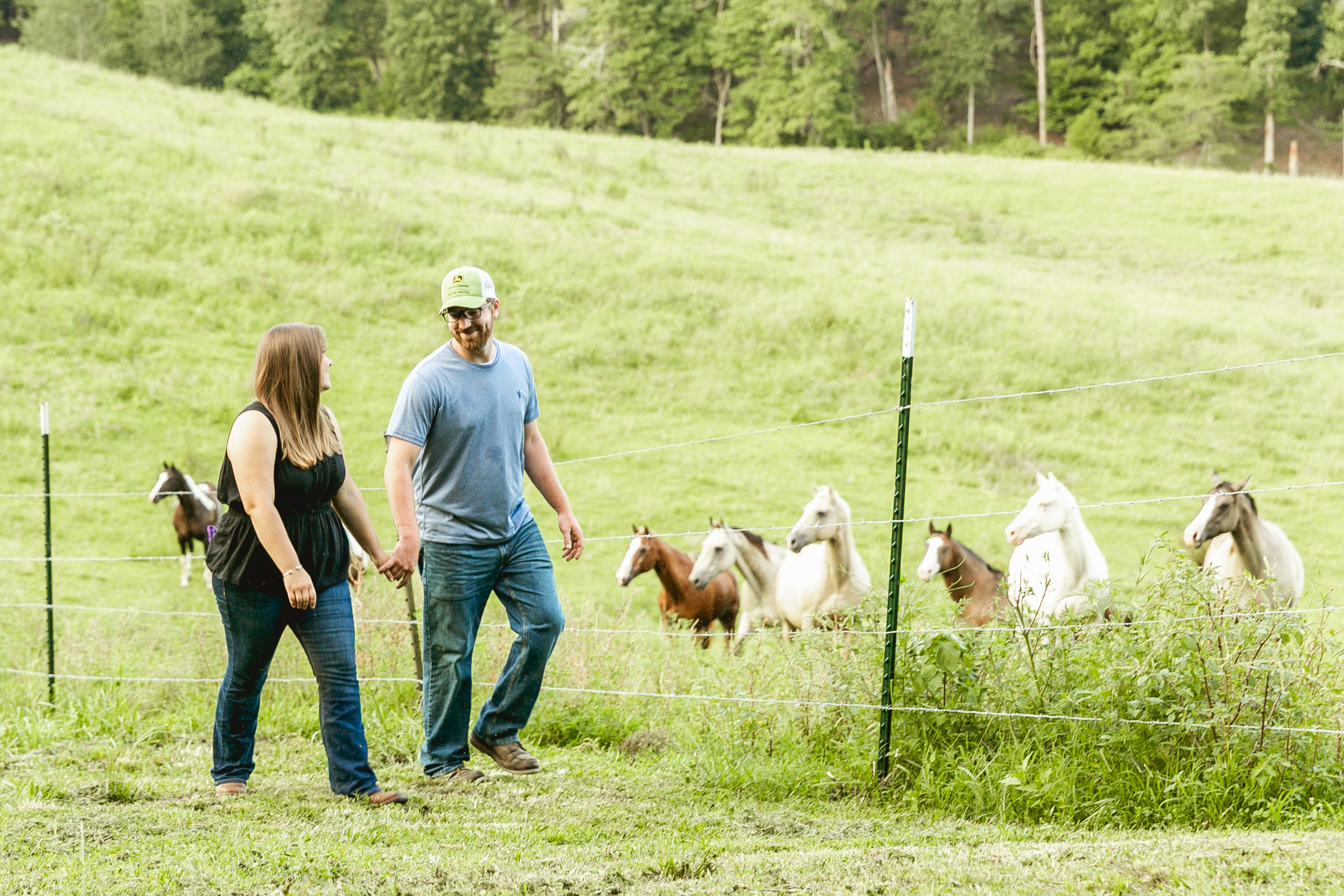 Couple holding hands and walking in a pasture by a fence with horses in the background