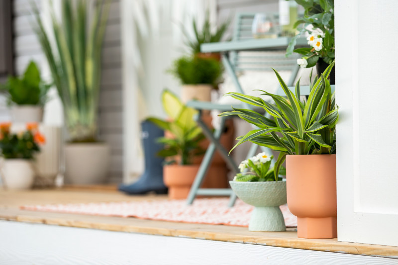 potted plants on a porch of a Clayton manufacture home