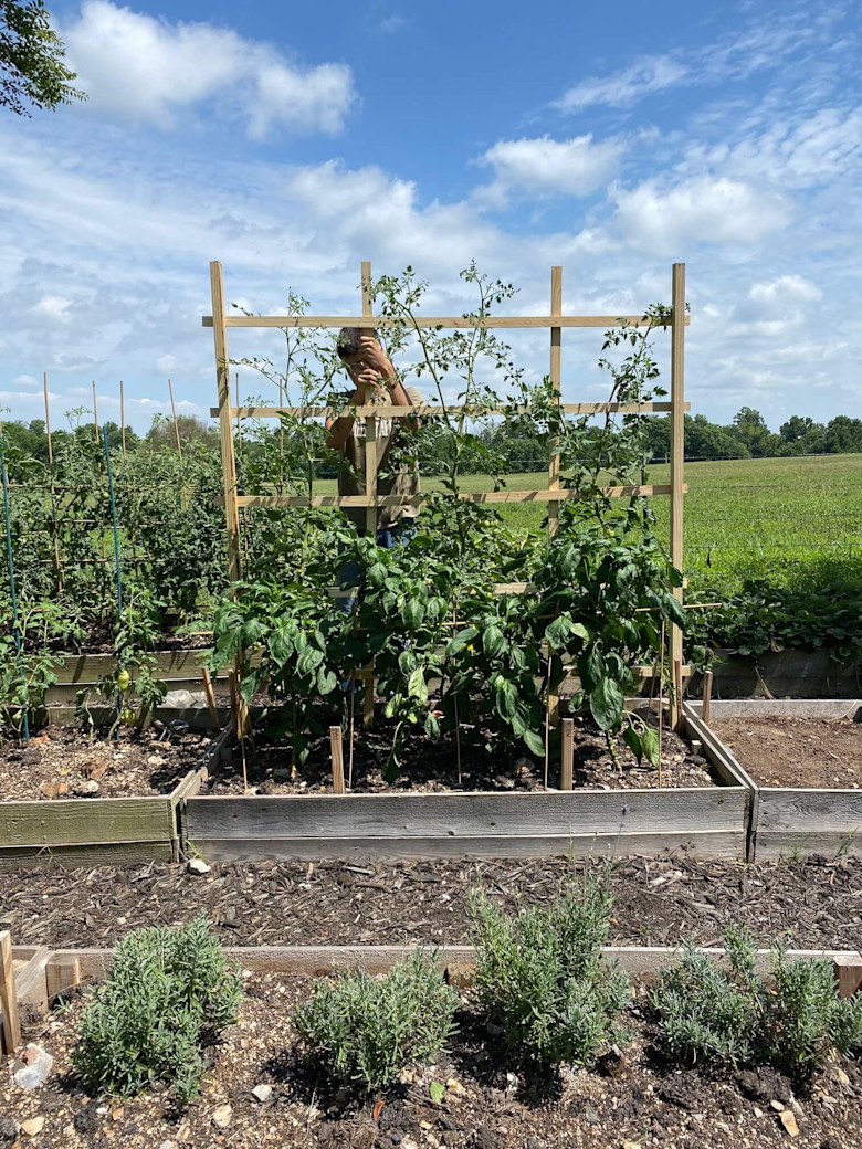prefab raised garden beds on Manufactured Home Gardening Clayton Studio