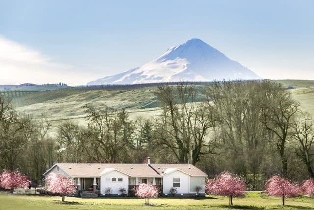 A manufactured house in front of a large mountain with pink trees around it.
