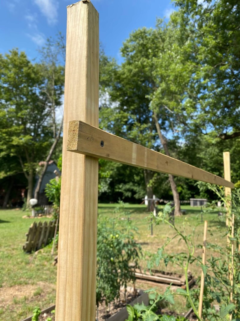 Wood boards attached as cross boards for tomato trellis. 