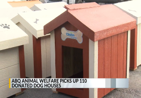 Animal Welfare picks up over 100 donated dog houses