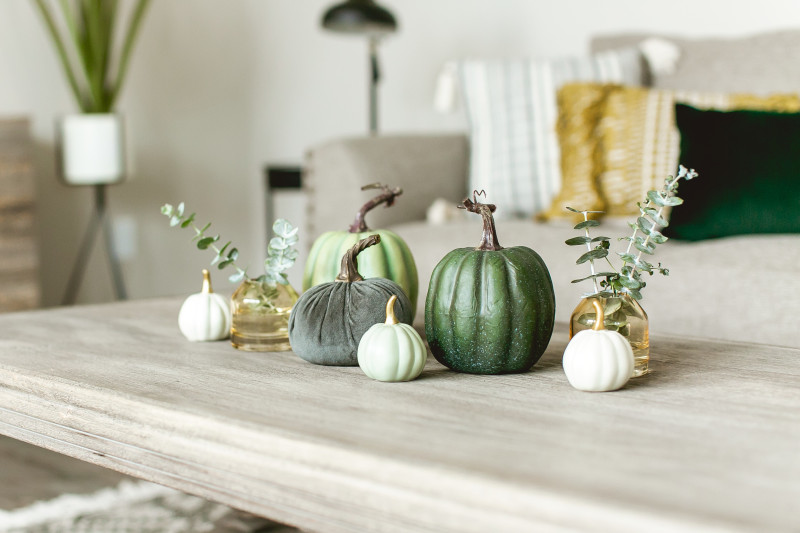 decorative fall pumpkin decor on a coffee table in the livingroom of a manufactured home