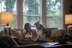 A girl and dog sitting on the couch in their manufactured home living room with large windows behind them.