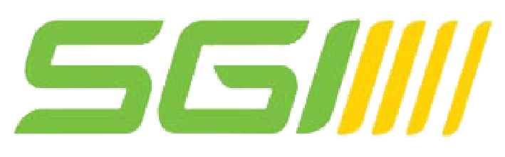 SGI Payment Options