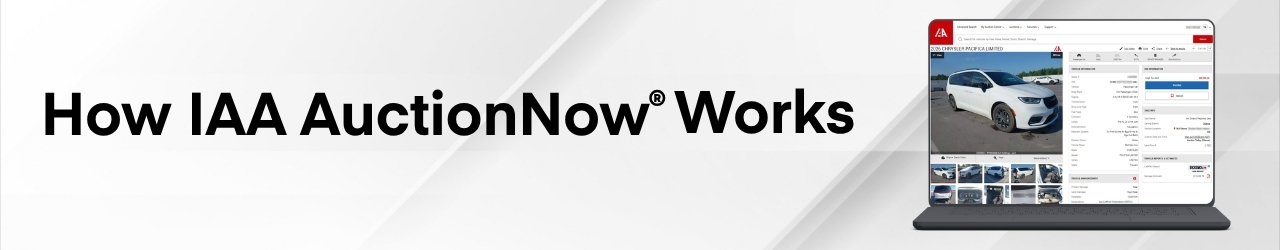 AuctionNow EN In-line image AuctionNow EN In-line image