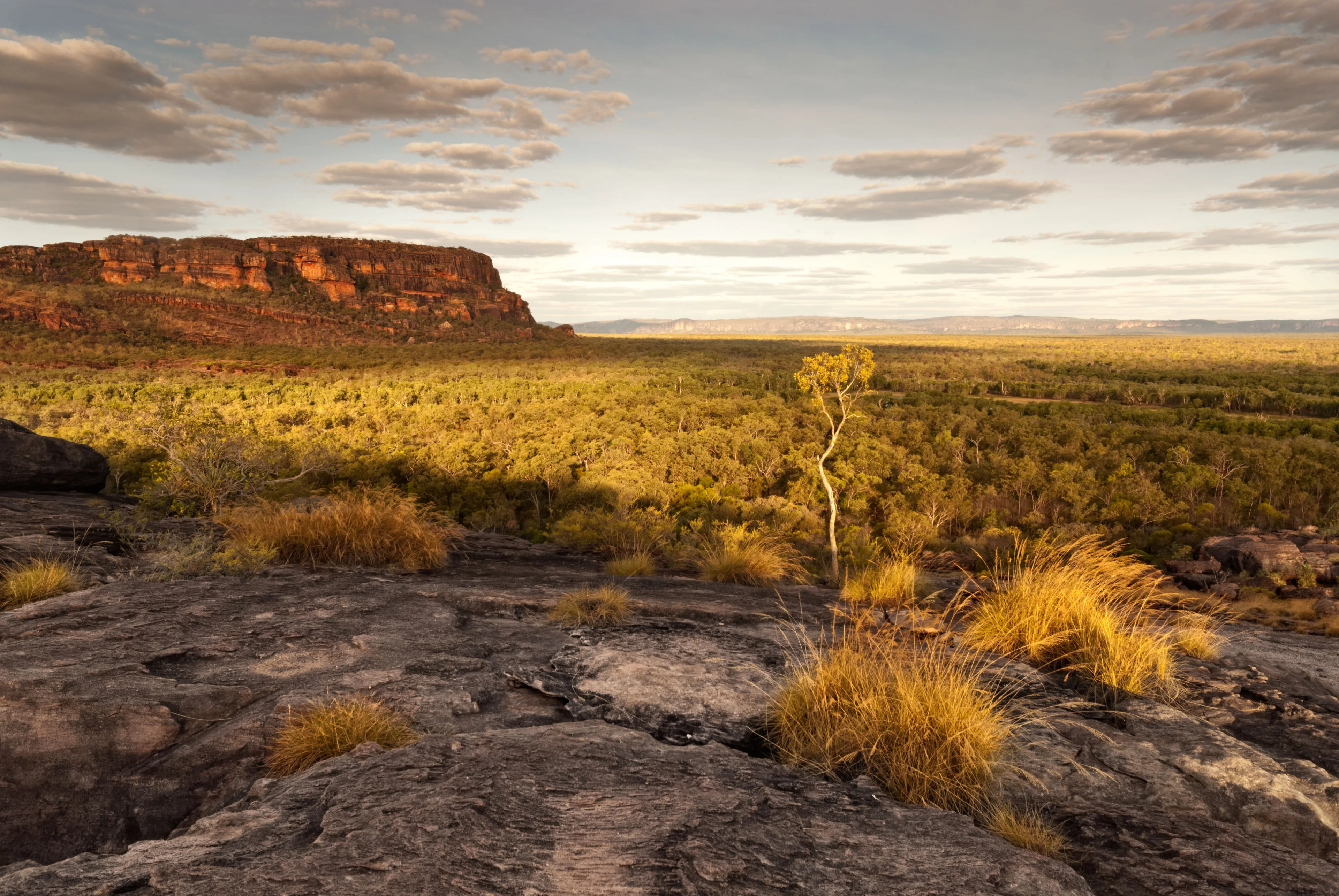 book accommodation in Kakadu