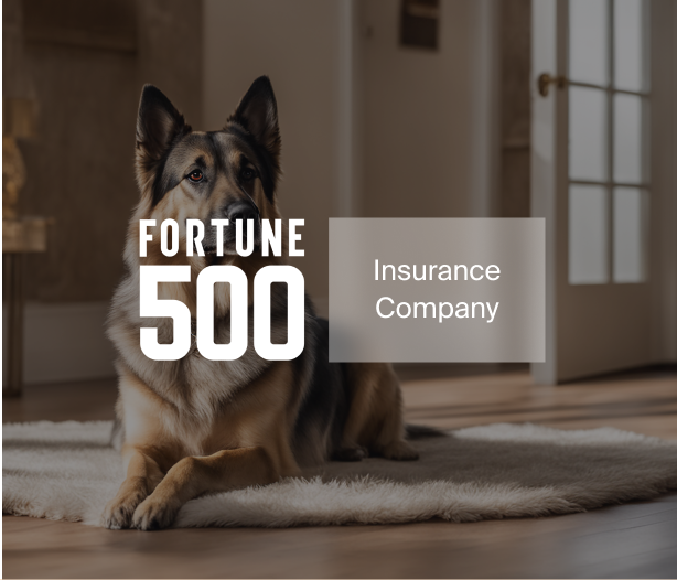 Resources Webinar Creative Automation